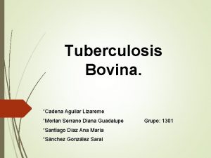 Tuberculosis Bovina Cadena Aguilar Lizareme Morlan Serrano Diana