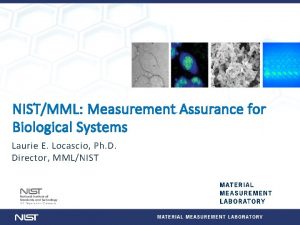 Mml measurement