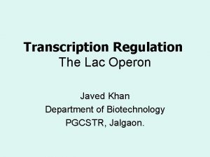 Transcription Regulation The Lac Operon Javed Khan Department