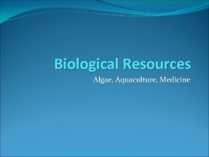 Biological Resources Algae Aquaculture Medicine Algae Seaweeds and