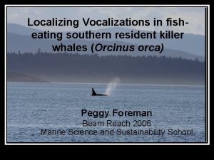 Killer whale vocalizations