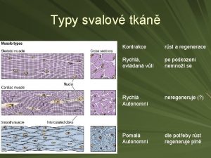 Typy svalov tkn Kontrakce rst a regenerace Rychl