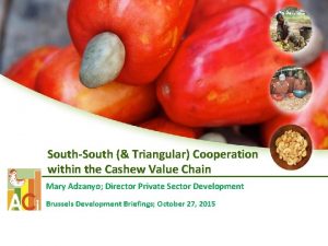 SouthSouth Triangular Cooperation within the Cashew Value Chain