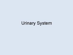 Composition of urine