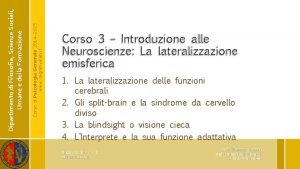 Corso di Psicologia Generale 2014 2015 www cognitivelab