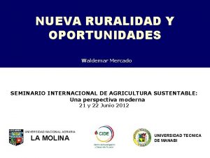 NUEVA RURALIDAD Y OPORTUNIDADES Waldemar Mercado SEMINARIO INTERNACIONAL