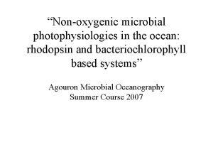 Photoorganoautotroph