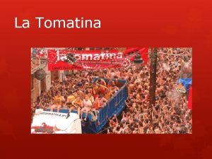 Palo jabon tomatina