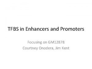 TFBS in Enhancers and Promoters Focusing on GM