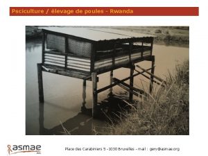 Psciculture levage de poules Rwanda Place des Carabiniers