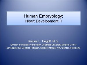 Human Embryology Heart Development II Kimara L Targoff