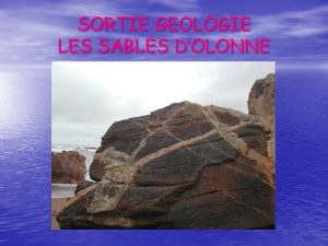 SORTIE GEOLOGIE LES SABLES DOLONNE Plage de Sauveterre