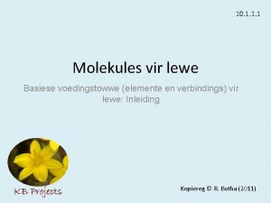 10 1 1 1 Molekules vir lewe Basiese