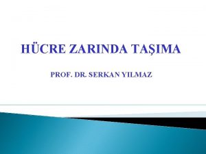 HCRE ZARINDA TAIMA PROF DR SERKAN YILMAZ 1