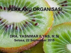 PERILAKU ORGANISASI DRA YASNIMAR ILYAS M Si Selasa