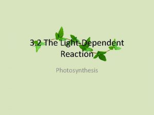 3 2 The LightDependent Reaction Photosynthesis Learning Objectives