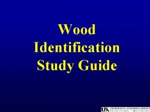 Wood Identification Study Guide Prepared by Bobby Ammerman