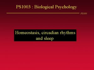 PS 1003 Biological Psychology PS 1003 Homeostasis circadian