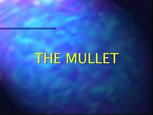 Mullet definition hair