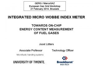 GERG Marco GAZ European Gas Grid Workshop 27