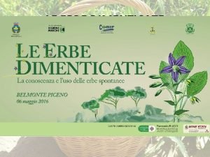 LE ERBE DIMENTICATE Determinazione Avere un quadro delle