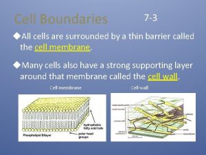 Section 7-4 the diversity of cellular life