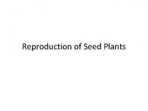 Reproduction of Seed Plants Reproduction of Seed Plants