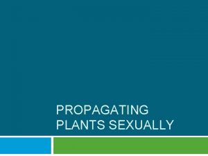 PROPAGATING PLANTS SEXUALLY Terms Direct seeding Dormant Embryo