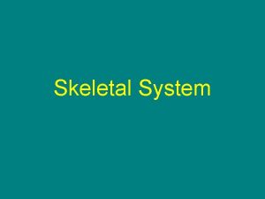 Skeletal System Agriculture Food and Natural Resource Standards