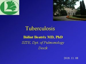 Tuberculosis Blint Beatrix MD Ph D SZTE Dpt