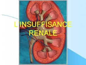 LINSUFFISANCE RENALE PLAN I Rappel anatomophysiologique II Linsuffisance