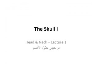 The Skull The Skull Cranium The skull is