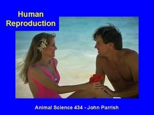 Human Reproduction Animal Science 434 John Parrish Puberty