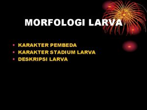 MORFOLOGI LARVA KARAKTER PEMBEDA KARAKTER STADIUM LARVA DESKRIPSI