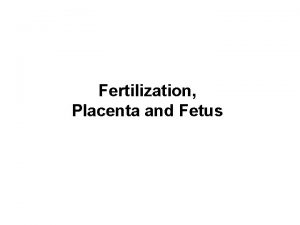 Fertilization Placenta and Fetus Male and Female gametes