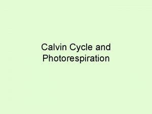 Calvin Cycle and Photorespiration Calvin Cycle Where does