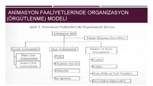 ANMASYON FAALYETLERNDE ORGANZASYON RGTLENME MODEL o Animasyon faaliyetlerinin