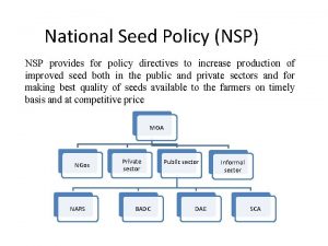 National Seed Policy NSP NSP provides for policy