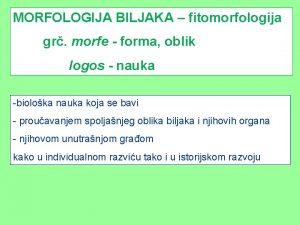 MORFOLOGIJA BILJAKA fitomorfologija gr morfe forma oblik logos