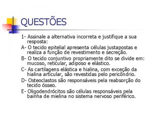 QUESTES 1 Assinale a alternativa incorreta e justifique