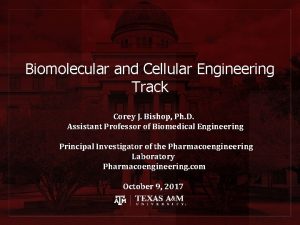 Biomolecular and Cellular Engineering Track Corey J Bishop