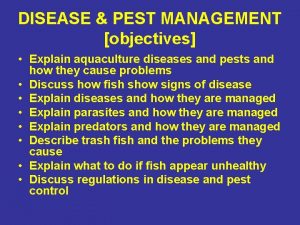 Aquaculture pest analysis