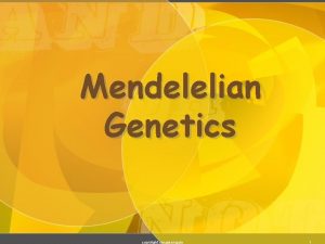 Mendelelian Genetics copyright cmassengale 1 Gregor Mendel 1822