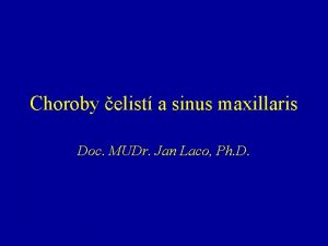 Choroby elist a sinus maxillaris Doc MUDr Jan