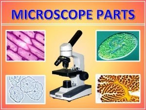 Light microscope parts