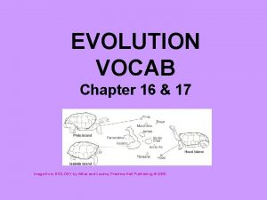 Evolution vocab