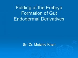 Folding of the Embryo Formation of Gut Endodermal