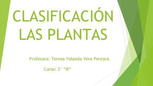 CLASIFICACIN LAS PLANTAS Profesora Teresa Yolanda Vera Pereyra
