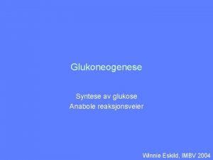 Glukoneogenese Syntese av glukose Anabole reaksjonsveier Winnie Eskild