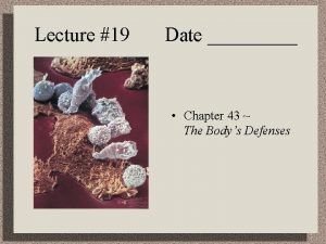 Lecture 19 Date Chapter 43 The Bodys Defenses